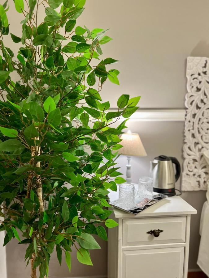 Miluar - Centro Storico - Lungo La Via Della Musica Bed & Breakfast เนเปิลส์ ภายนอก รูปภาพ